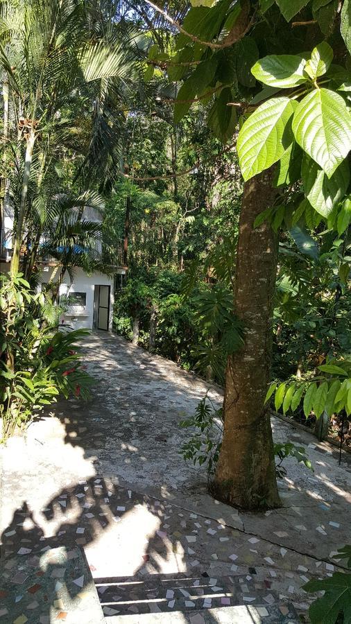 Hotel Quinta Avenida Palenque Zewnętrze zdjęcie